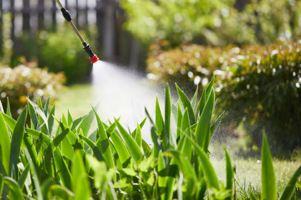 24/7 Emergency Fumigation Services experts in Haines City, FL