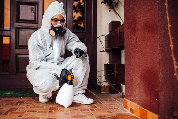 Reliable Fumigation Services contractor in Haines City, FL by Nex Pest Control