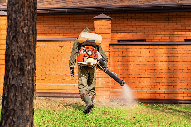 Trusted Termite Control service in Haines City, FL - Nex Pest Control